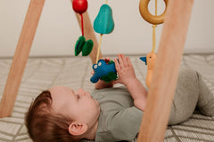 Wooden Baby Gym